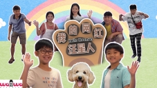 我的网红汪星人